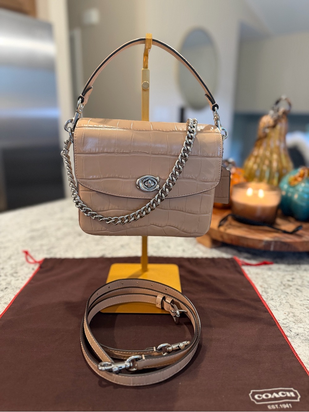 Coach Cassie 19 Croc-Embossed Leather Crossbody Bag CP138